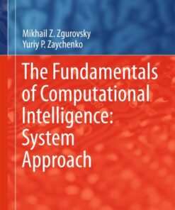 The Fundamentals of Computational Intelligence: System Approach eBook