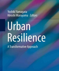 Urban Resilience: A Transformative Approach eBook