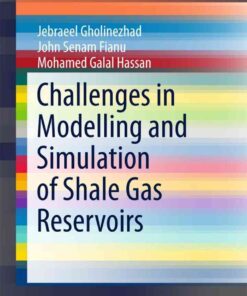 Challenges in Modelling and Simulation of Shale Gas Reservoirs eBook