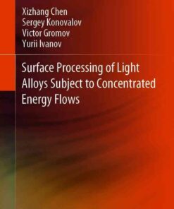 Surface Processing of Light Alloys Subject to Concentrated Energy Flows eBook