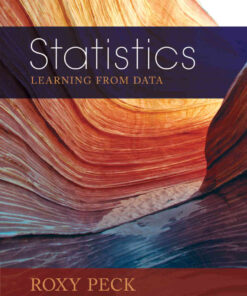 Statistics: Learning from Data, 1st Edition eBook