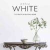 For the Love of White: The White and Neutral Home eBook