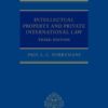 Intellectual Property and Private International Law eBook