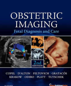 Obstetric Imaging: Fetal Diagnosis and Care eBook