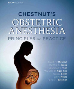 Chestnut's Obstetric Anesthesia E-Book eBook