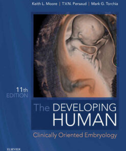 The Developing Human : Clinically Oriented Embryology eBook