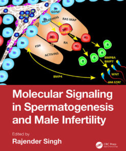 Molecular Signaling in Spermatogenesis and Male Infertility eBook