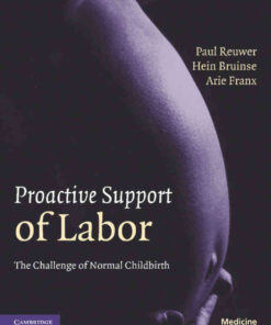 Proactive Support of Labor: The Challenge of Normal Childbirth eBook