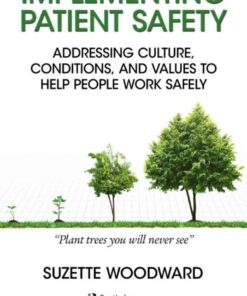 Implementing Patient Safety: Addressing Culture, Conditions and Values to Help People Work Safely eBook