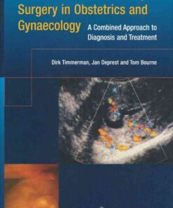 Ultrasound and Endoscopic Surgery in Obstetrics and Gynaecology: A Combined Approach to Diagnosis and Treatment eBook