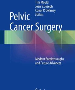 Pelvic Cancer Surgery: Modern Breakthroughs and Future Advances eBook
