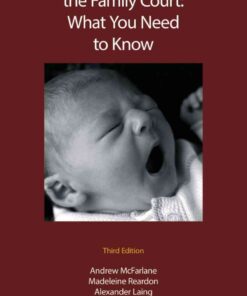 Child Protection and the Family Court: What you Need to Know eBook