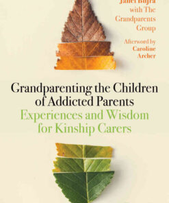 Grandparenting the Children of Addicted Parents: Experiences and Wisdom for Kinship Carers eBook