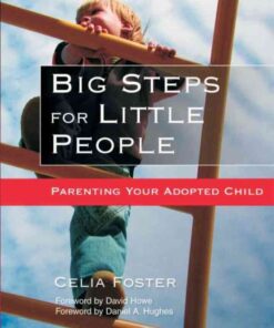 Big Steps for Little People: Parenting Your Adopted Child eBook