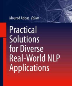 Practical Solutions for Diverse Real-World NLP Applications eBook