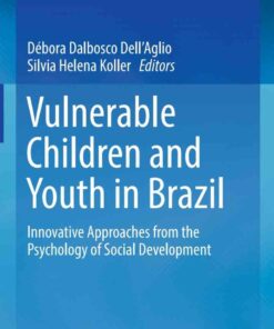 Vulnerable Children and Youth in Brazil: Innovative Approaches from the Psychology of Social Development eBook