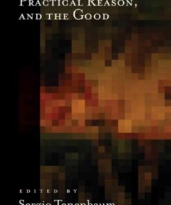 Desire, Practical Reason, and the Good, 1st Edition eBook