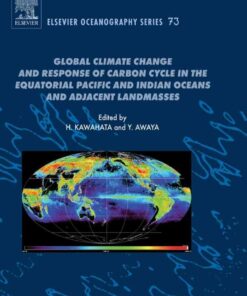 Global Climate Change and Response of Carbon Cycle in the Equatorial Pacific and Indian Oceans and Adjacent Landmasses eBook