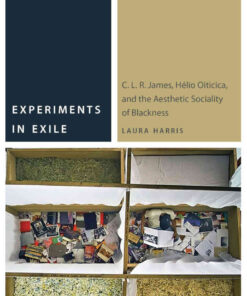 Experiments in Exile: C. L. R. James, Hélio Oiticica, and the Aesthetic Sociality of Blackness, 1st Edition eBook