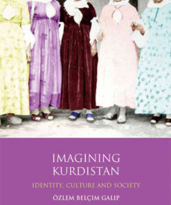 Imagining Kurdistan: Identity, Culture and Society, 1st Edition eBook