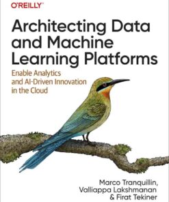 Architecting Data and Machine Learning Platforms: Enable Analytics and AI-Driven Innovation in the Cloud, 1st Edition eBook