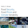 Food Security, Food Prices and Climate Variability, 1st Edition eBook