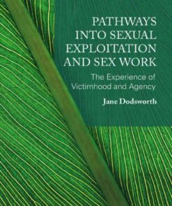 Pathways into Sexual Exploitation and Sex Work: The Experience of Victimhood and Agency eBook