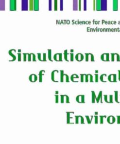 Simulation and Assessment of Chemical Processes in a Multiphase Environment eBook