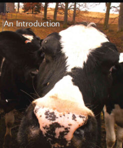 Critical Animal Studies: An Introduction eBook