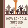 How Schools Succeed: Context, Culture, and Strategic Leadership, 2nd Edition eBook