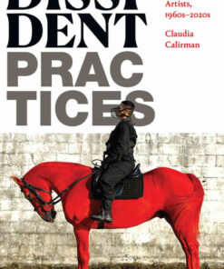 Dissident Practices: Brazilian Women Artists, 1960s–2020s eBook