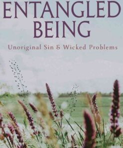 Entangled Being: Unoriginal Sin and Wicked Problems eBook