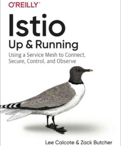 Istio: Up and Running: Using a Service Mesh to Connect, Secure, Control, and Observe, 1st Edition eBook