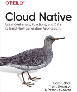 Cloud Native: Using Containers, Functions, and Data to Build Next-Generation Applications, 1st Edition eBook