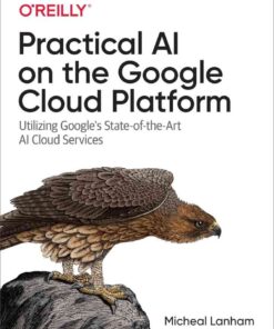 Practical AI on the Google Cloud Platform, 1st Edition eBook
