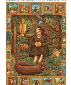 An Ethics of Biodiversity: Christianity, Ecology, and the Variety of Life eBook