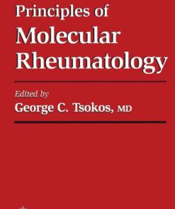 Principles of Molecular Rheumatology, 1st Edition eBook