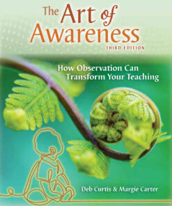 Art of Awareness: How Observation Can Transform Your Teaching, 3rd Edition eBook