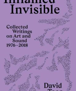 Inflamed Invisible: Collected Writings on Art and Sound, 1976-2018 eBook