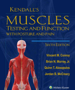 Kendall's Muscles: Testing and Function with Posture and Pain, 6th Edition eBook