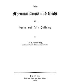 Ueber Rheumatismus und Gicht und deren radikale Heilung, 1st Edition eBook