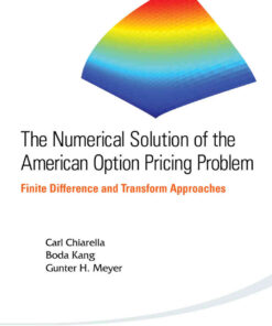 The Numerical Solution of the American Option Pricing Problem: Finite Difference and Transform Approaches eBook