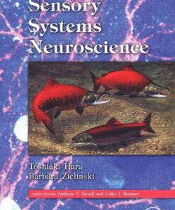 Fish Physiology: Sensory Systems Neuroscience: Sensory Systems Neuroscience eBook