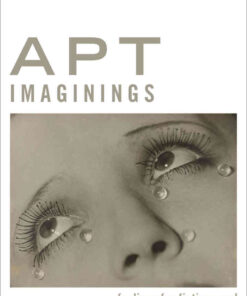 Apt Imaginings: Feelings for Fictions and Other Creatures of the Mind eBook