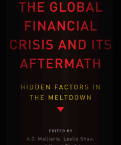 The Global Financial Crisis and Its Aftermath: Hidden Factors in the Meltdown, 1st Edition eBook
