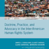 Doctrine, Practice, and Advocacy in the Inter-American Human Rights System eBook