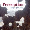 Perception: Essays After Frege eBook