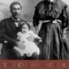 The Color Factor: The Economics of African-American Well-Being in the Nineteenth-Century South eBook