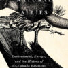 Natural Allies: Environment, Energy, and the History of US-Canada Relations eBook