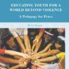 Educating Youth for a World Beyond Violence: A Pedagogy for Peace eBook